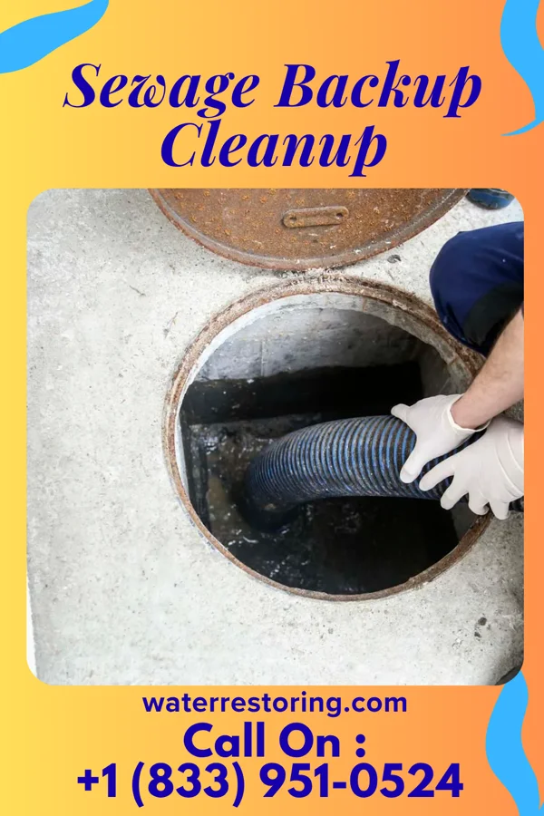 Sewage Backup Cleanup in Conrad, IA