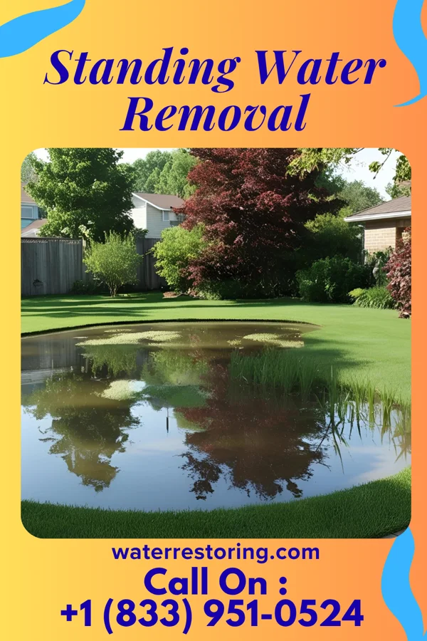Standing Water Removal in Conrad, IA